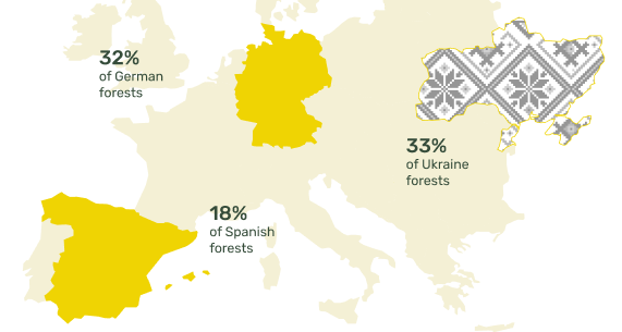 Ukraine forests